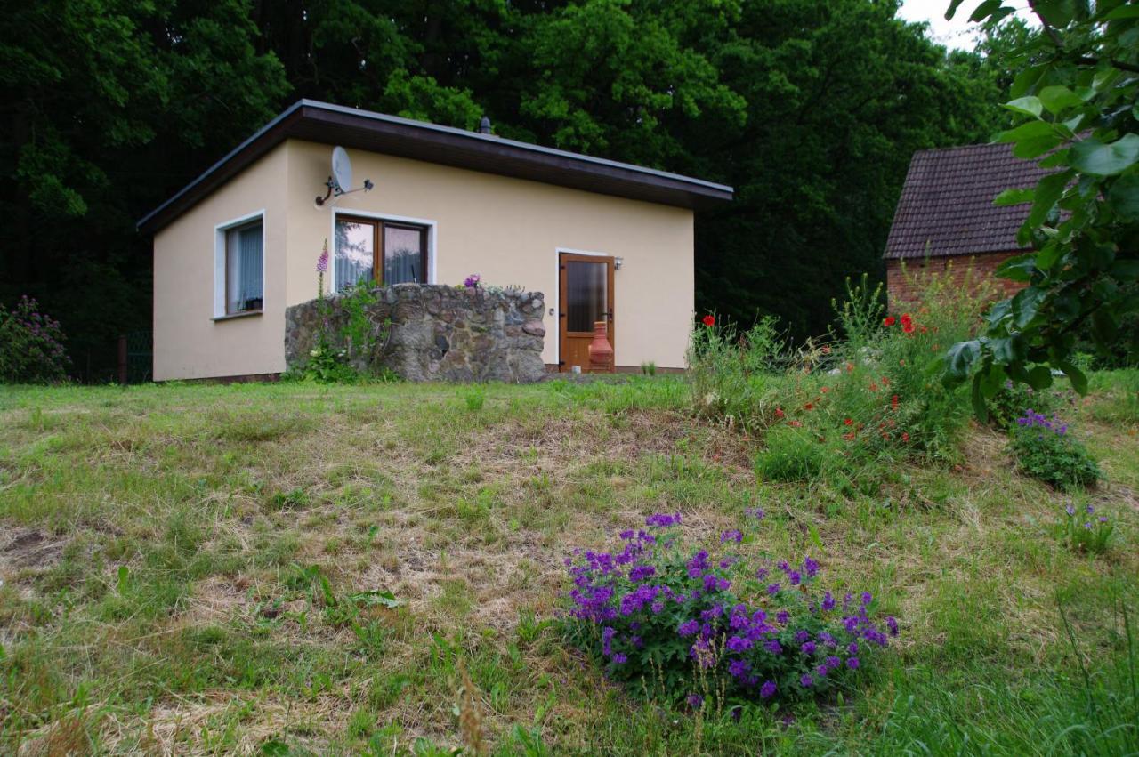Bungalow Am Forsthaus Stagniess Uckeritz Luaran gambar